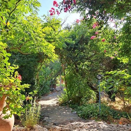 Villa Adama Clil Kültér fotó