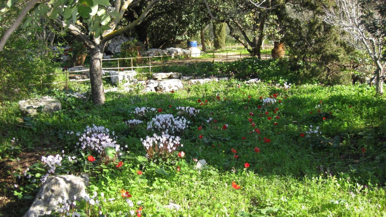 Villa Adama Clil Kültér fotó