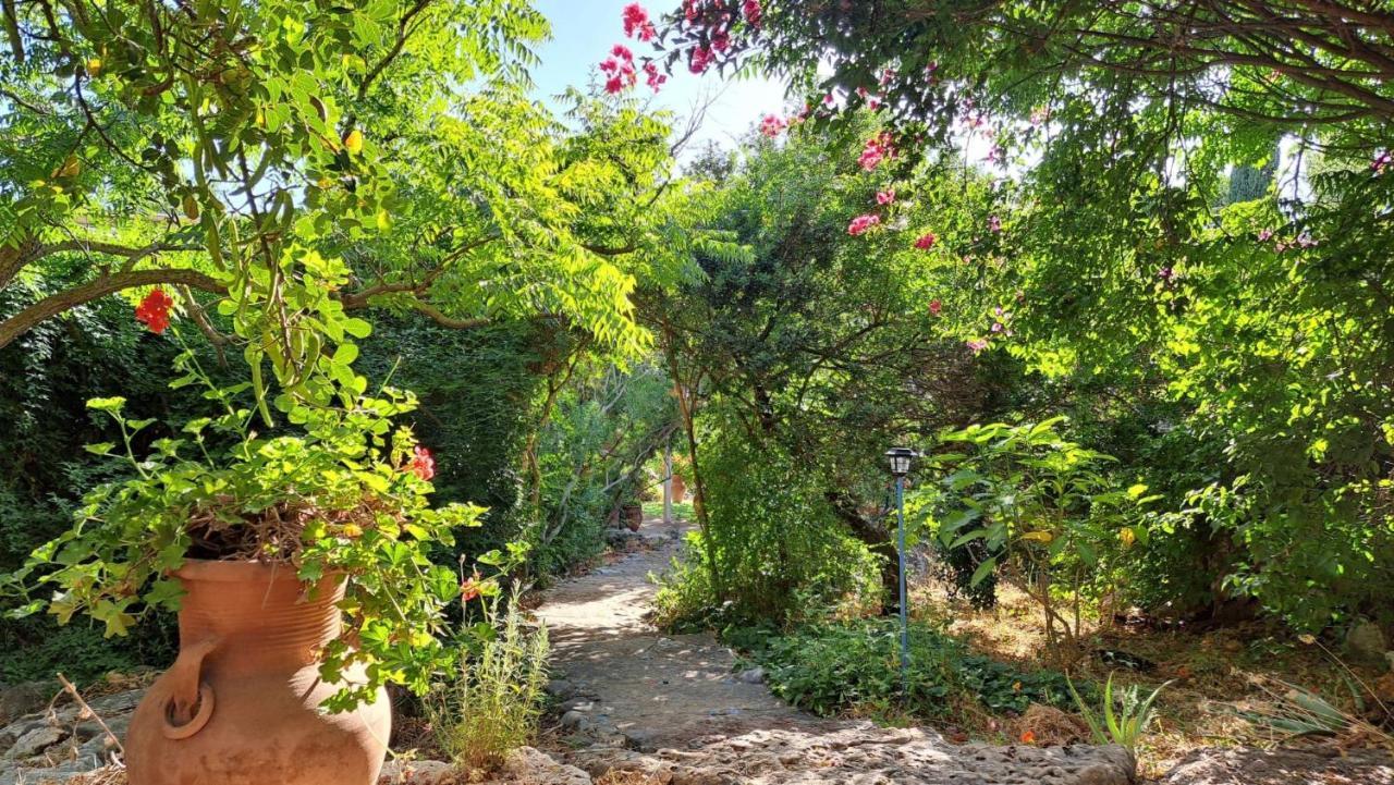 Villa Adama Clil Kültér fotó